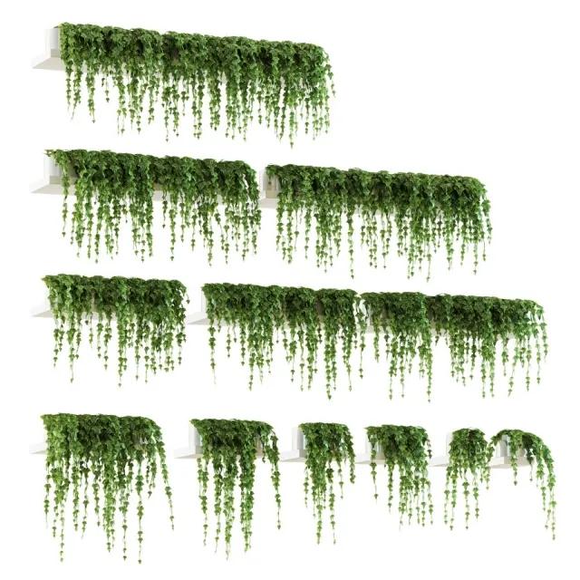 decoration - Ivy shelf 3D Model