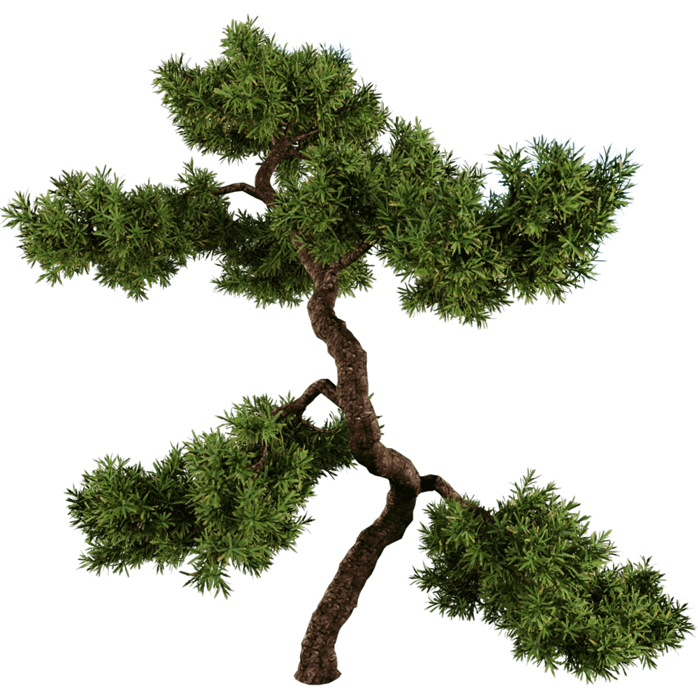 decoration - Juniperus communis 01 05 3D Model