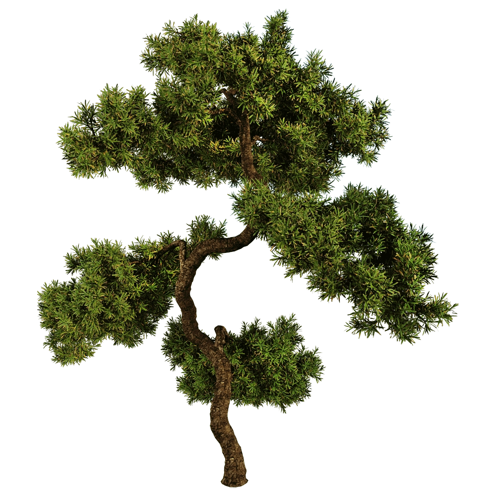 decoration - Juniperus communis 01 06 3D Model