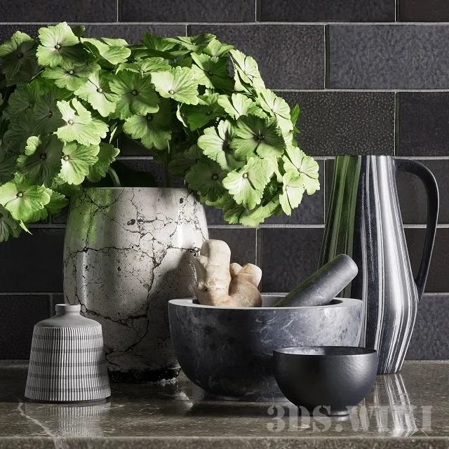 decoration - Kitchen decorative set with a plant 3D Model