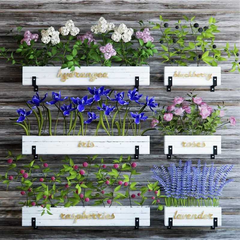 decoration - Kitchen garden 5 3D Model