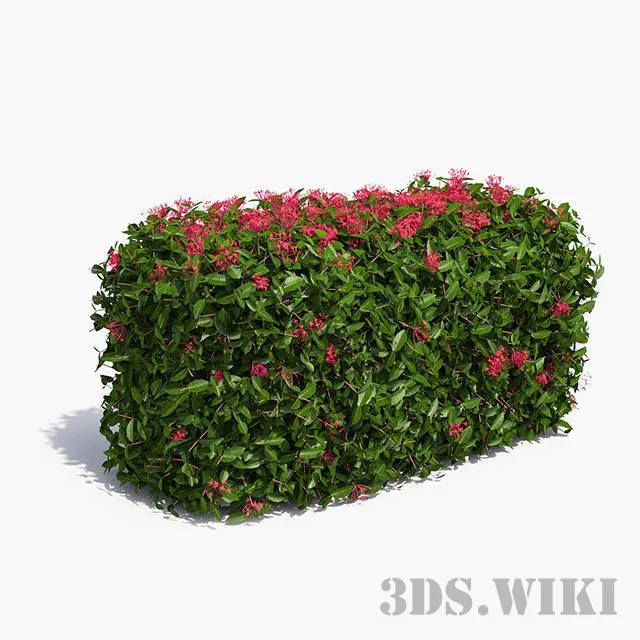 decoration - Lawn from Ixor 3D Model