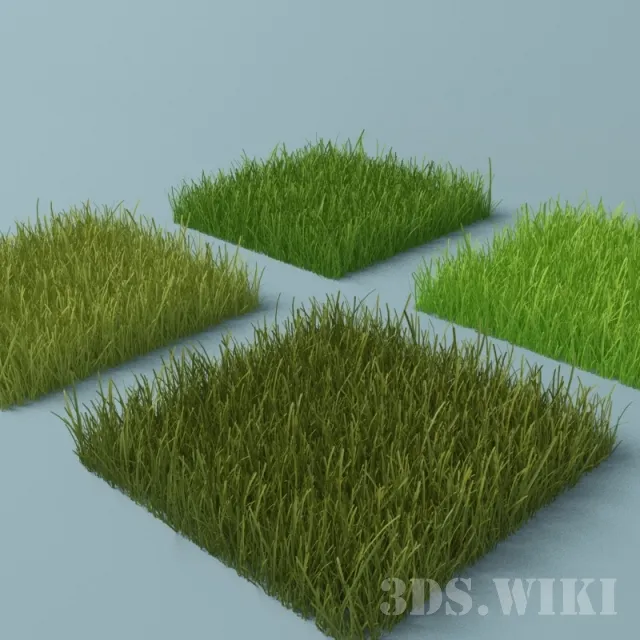 decoration - Lawn grass 3D Model