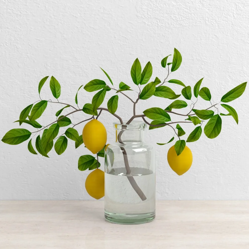 decoration - Lemons on branch setka 3D Model