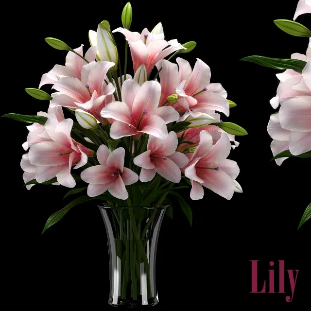 decoration - LILY 2 3D Model