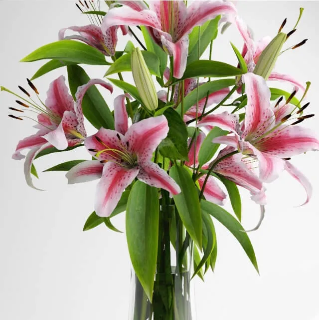 decoration - Lily bouquet 14 3D Model