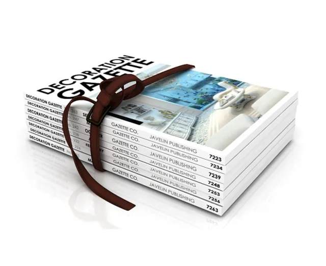 decoration - Magazines 3D Model