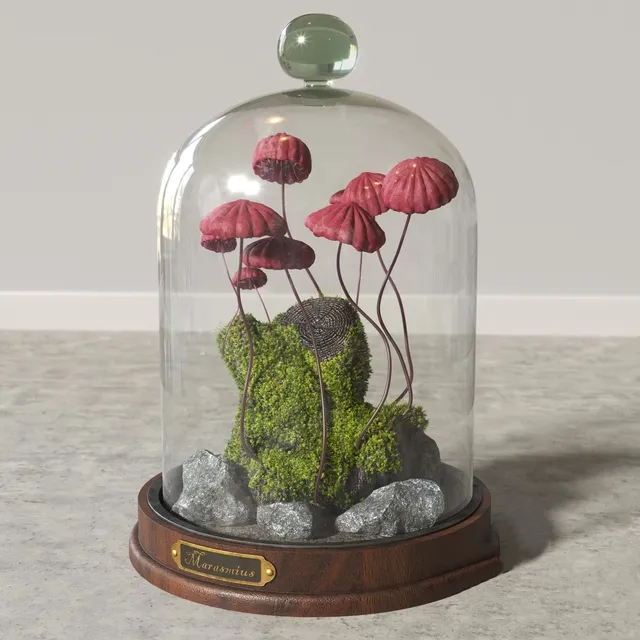 decoration - Marasmius_Florarium 3D Model