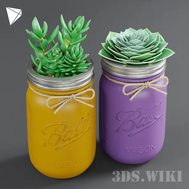 decoration - Mason Jar Succulent Jars With Plant 3D Model