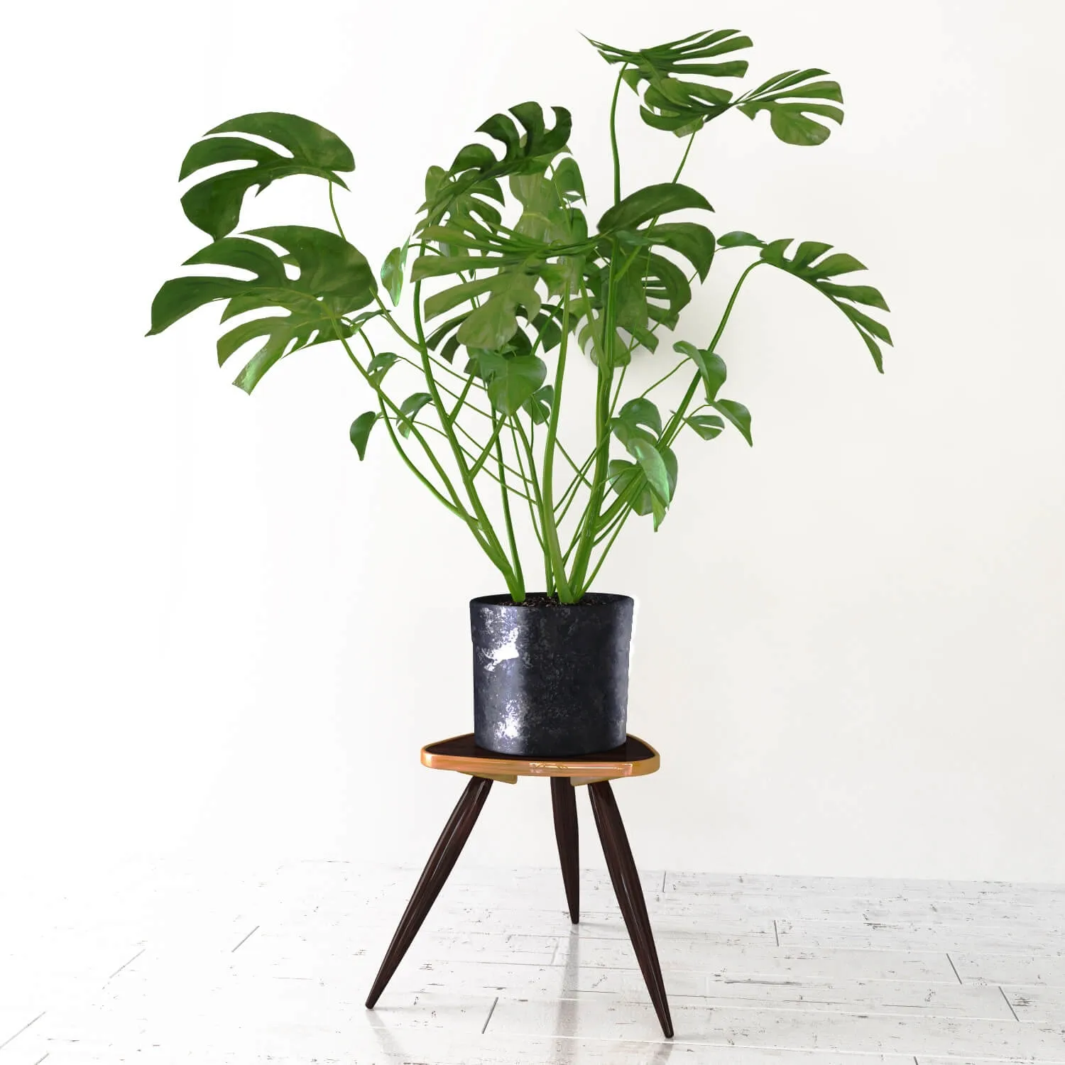 decoration - Monstera 5 3D Model