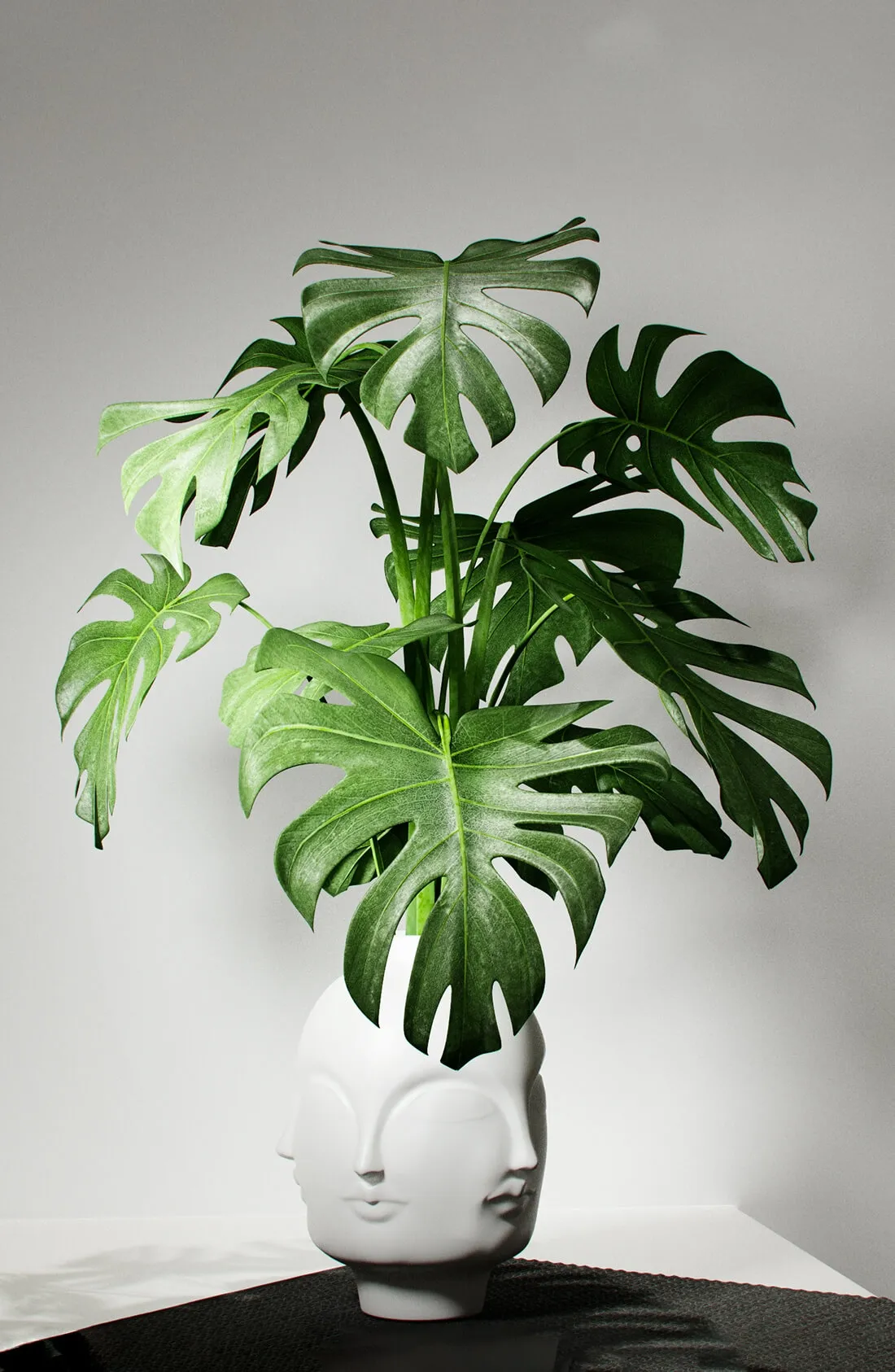 decoration - Monstera in a vase 3D Model