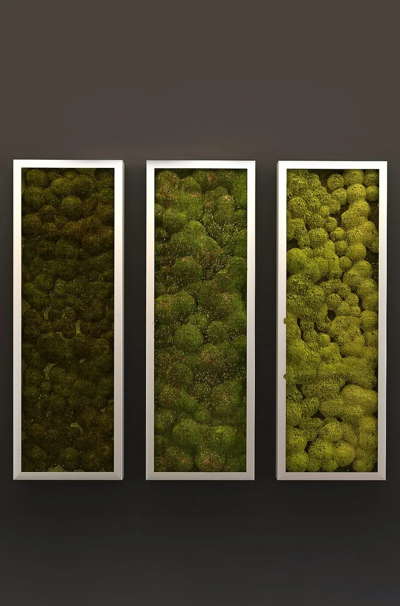 decoration - Moss in a frame 3D Model