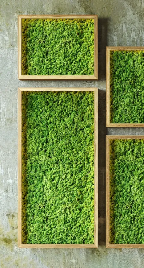 decoration - Moss walls 3D Model