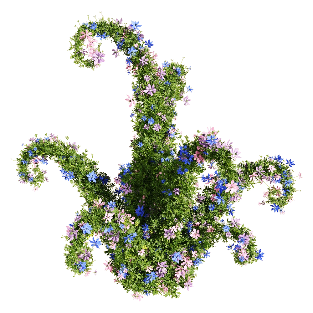 decoration - Nigella damascena 6 3D Model