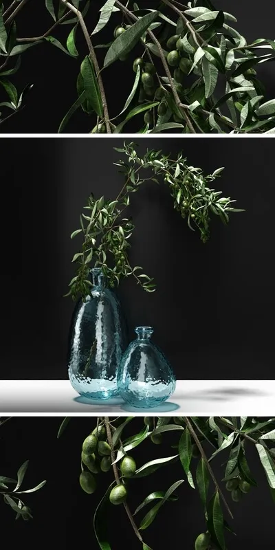 decoration - Olive branch 3D Model
