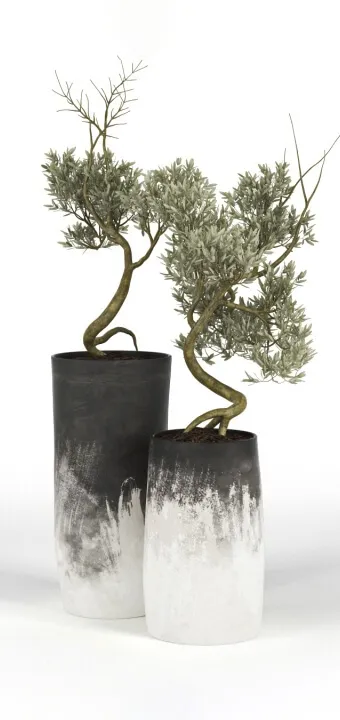 decoration - Olive Tree 02 3D Model