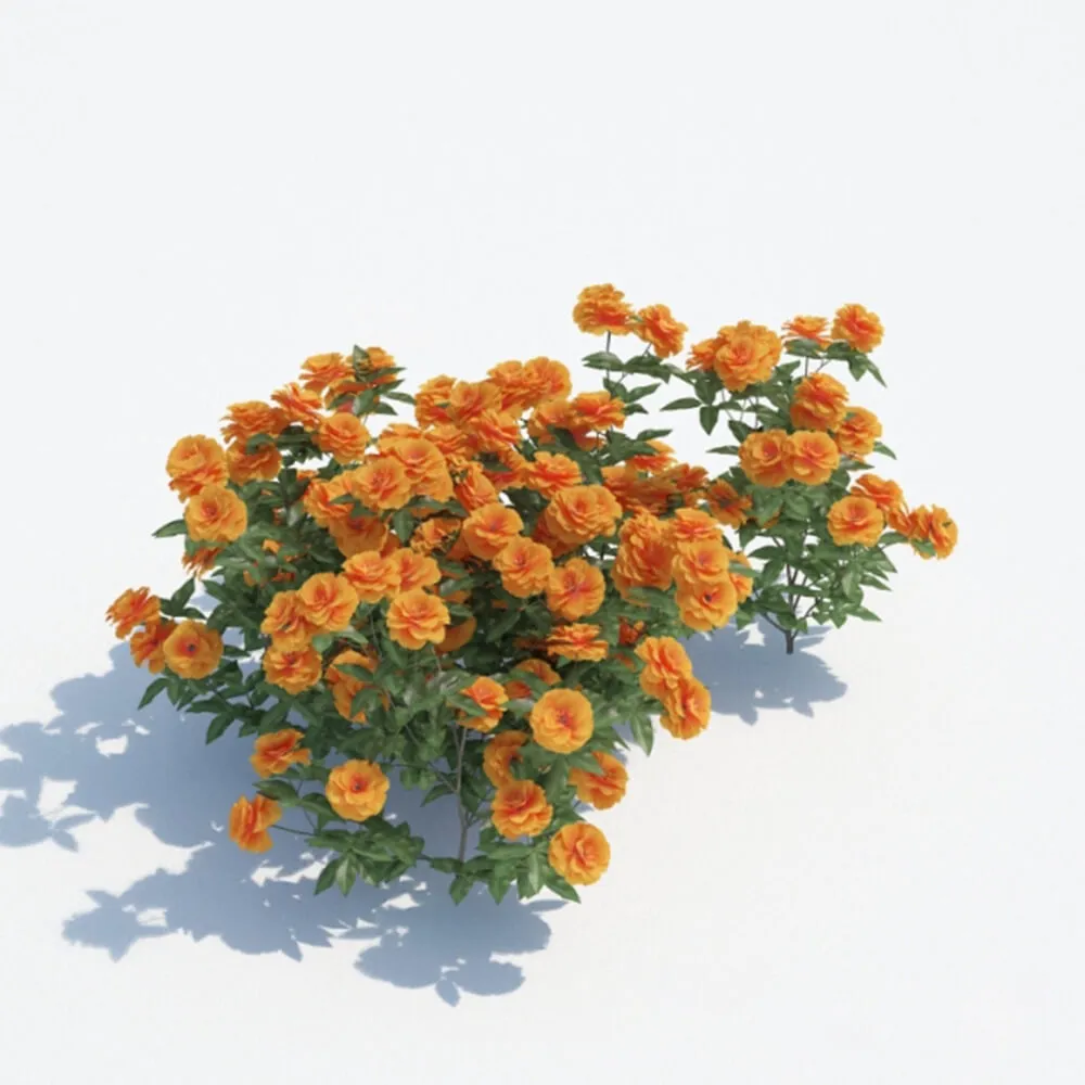 decoration - Orange flowers 3D Model