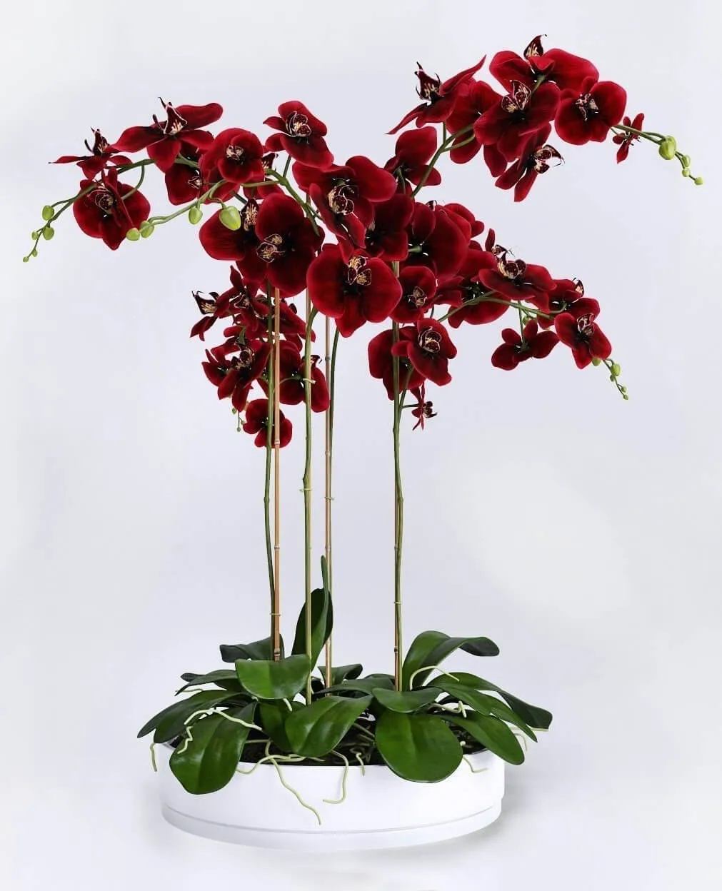 decoration - Orchid 11 3D Model