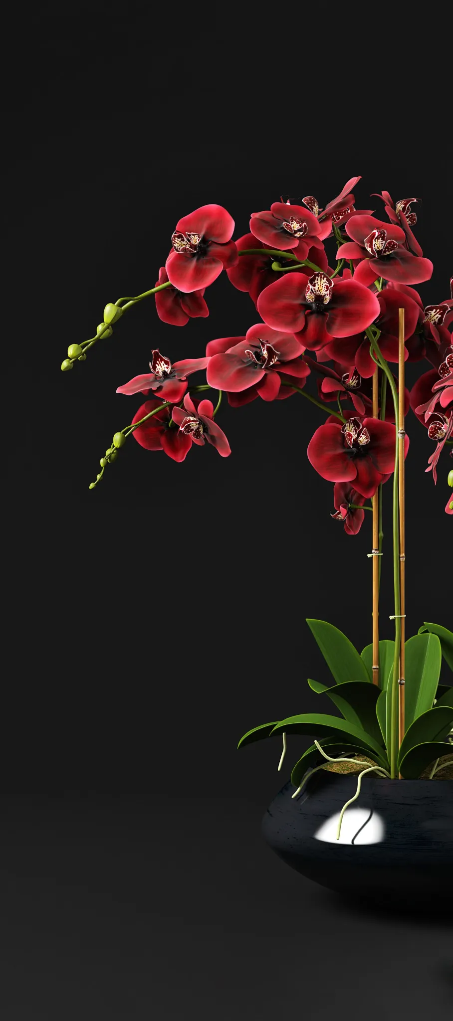 decoration - Orchid 12 3D Model