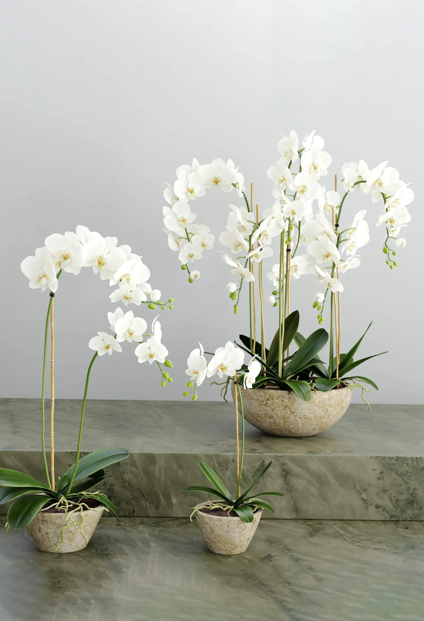 decoration - Orchid 3 3D Model