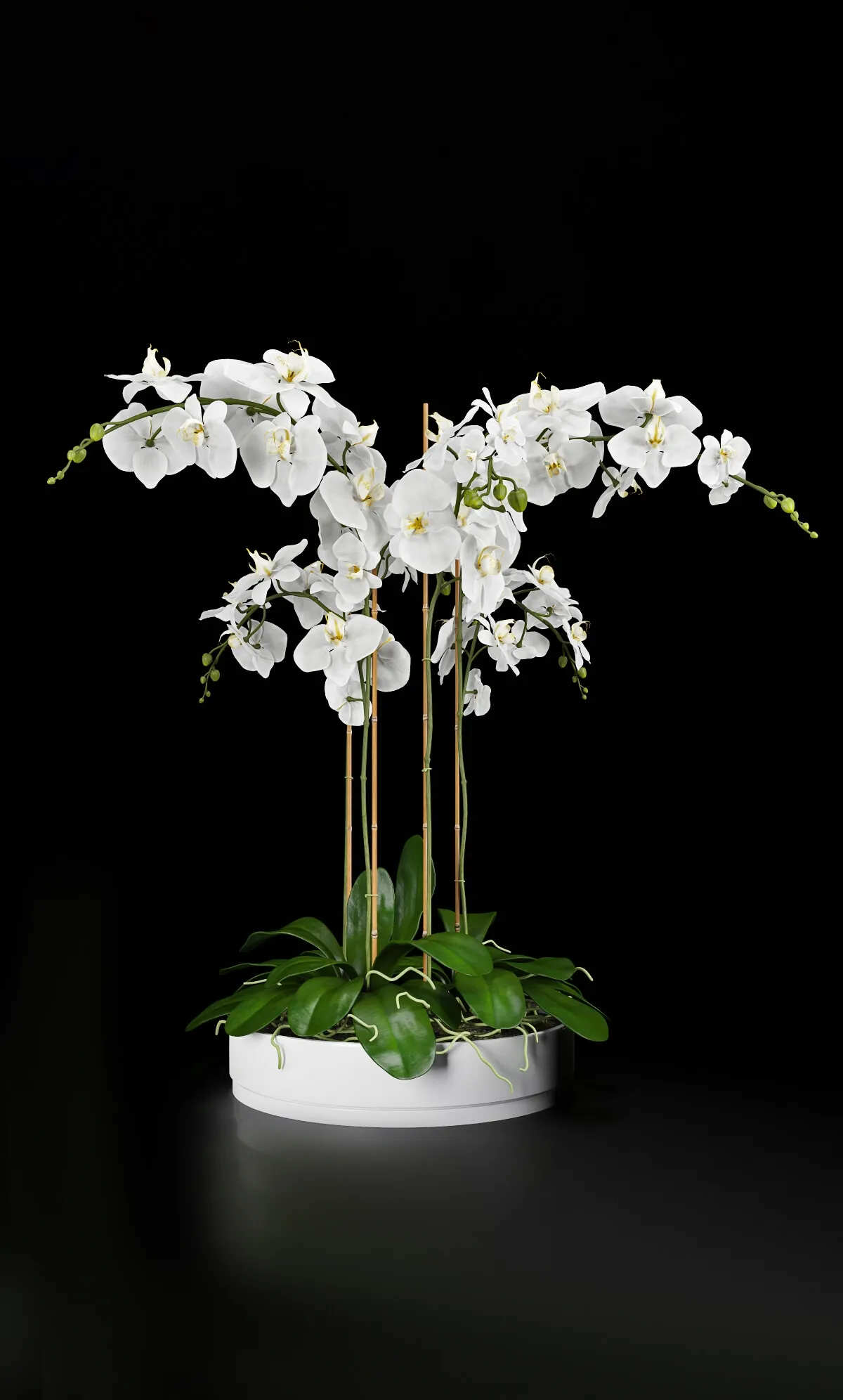decoration - Orchid 5 3D Model