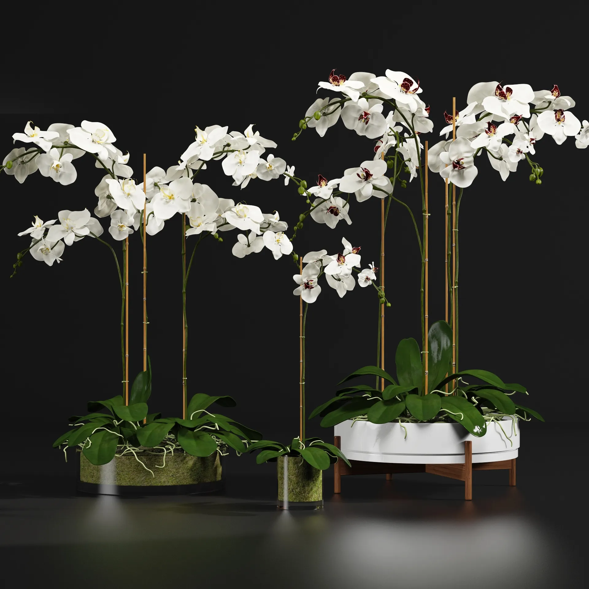 decoration - Orchid 56 3D Model