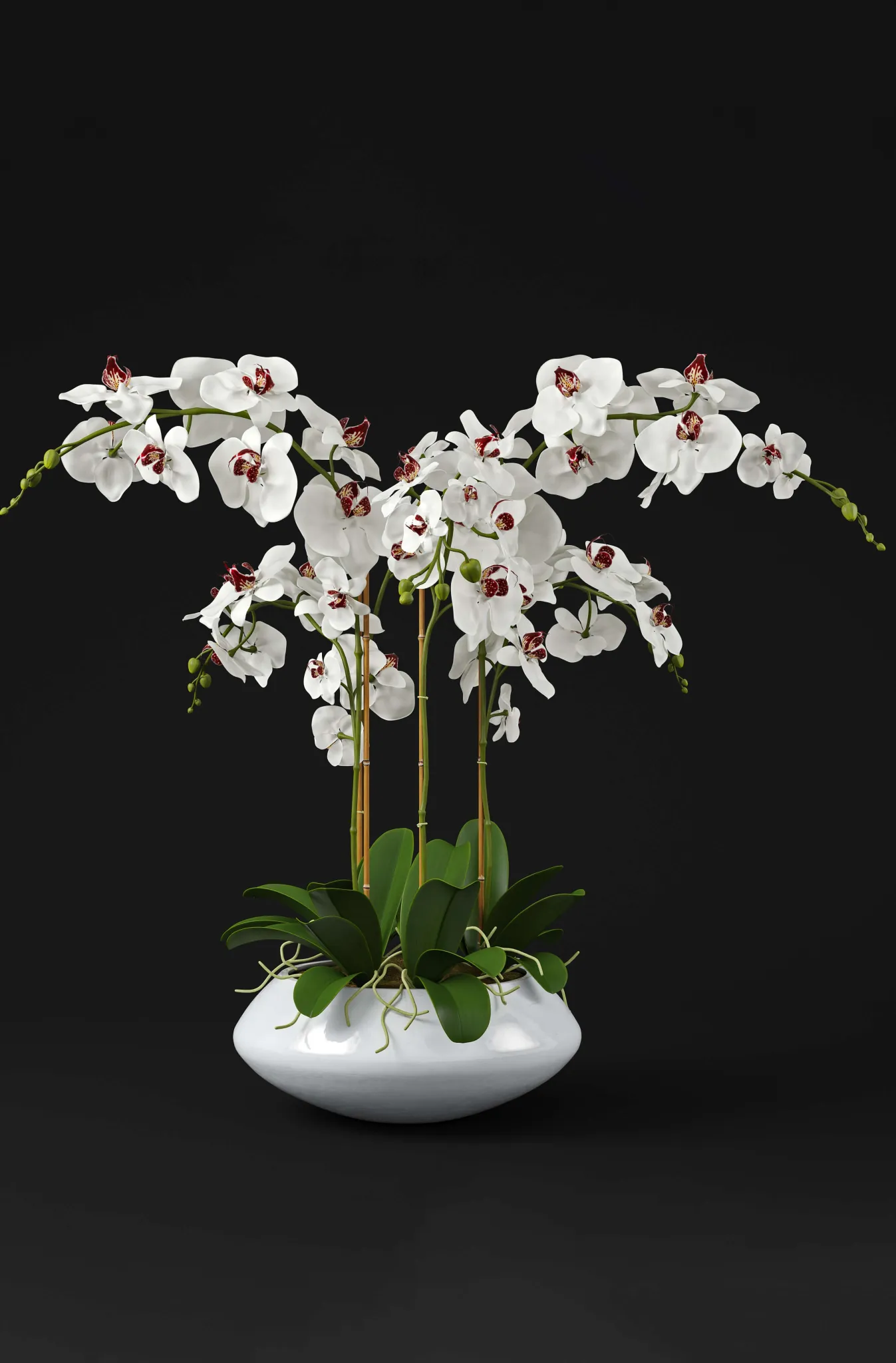 decoration - Orchid 7 3D Model
