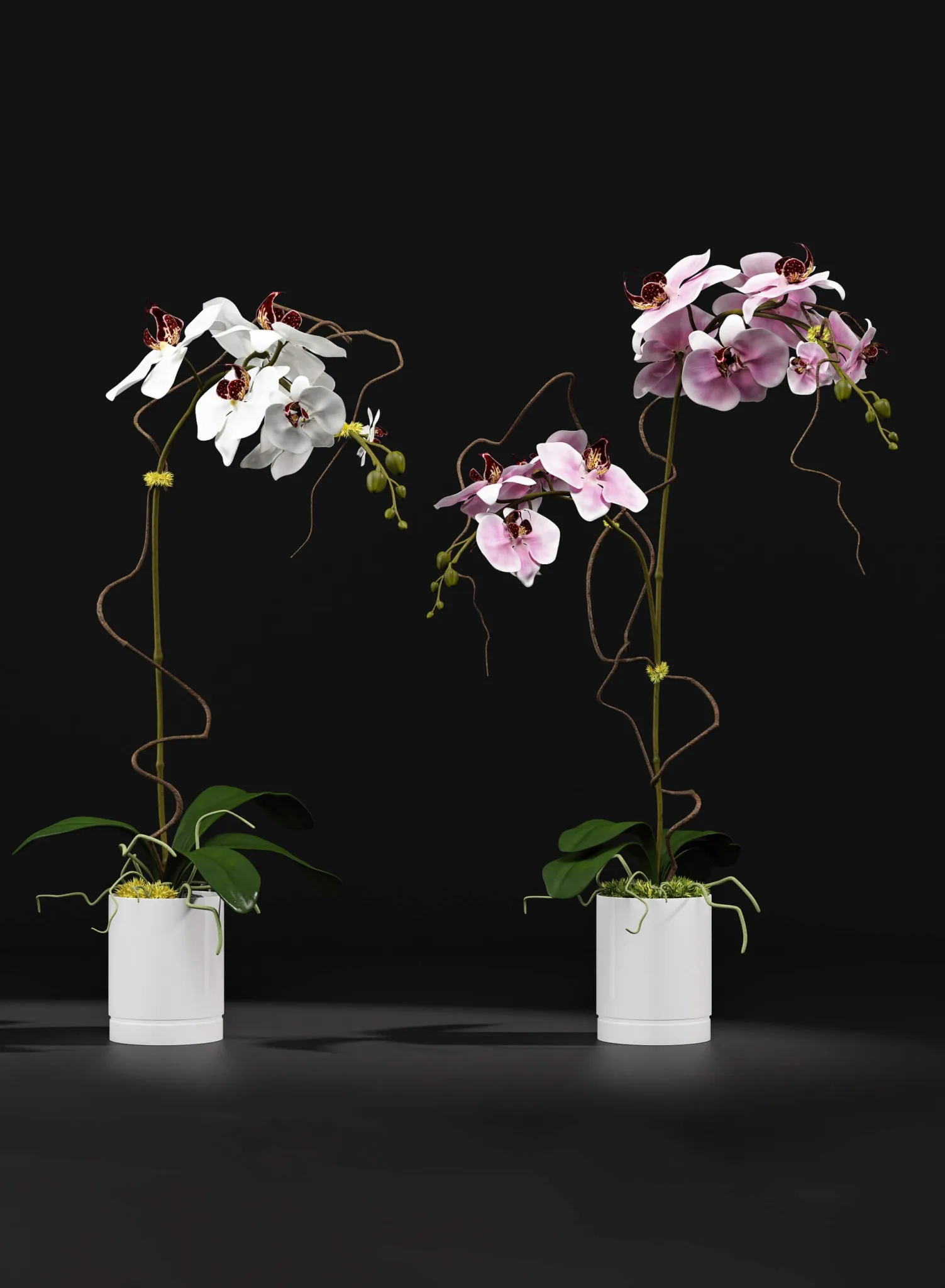 decoration - Orchid 8 3D Model