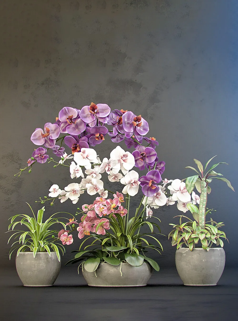 decoration - Orchid arrangement 01 3D Model