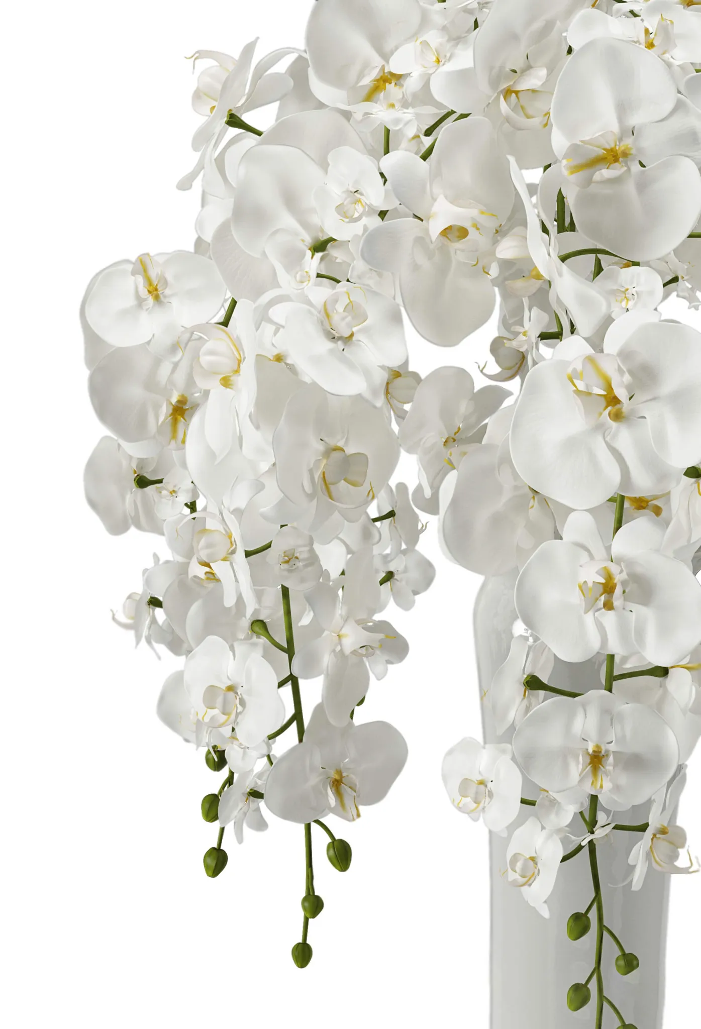 decoration - Orchid bouquet 3D Model