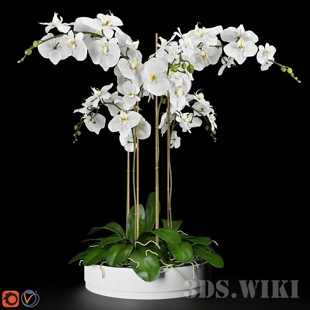 decoration - Orchid in a small pot 3D Model