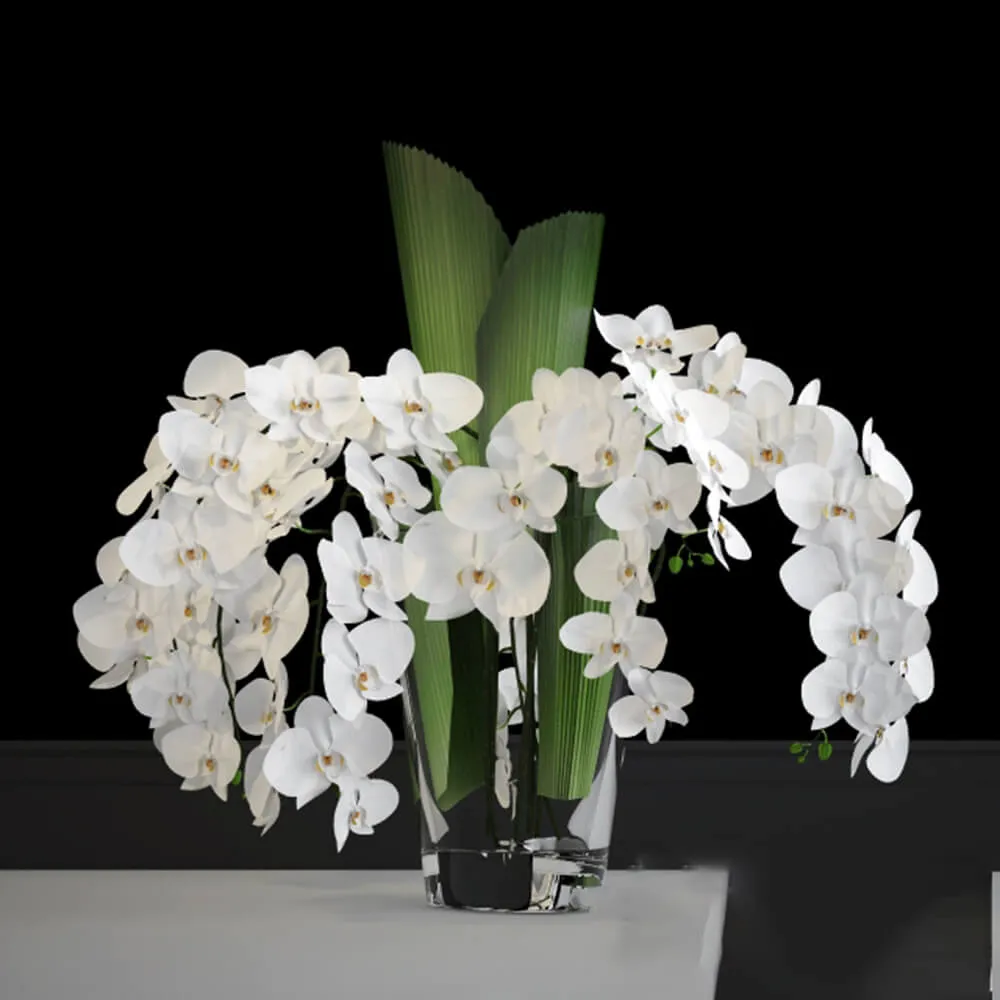 decoration - Orchid in a vase 3D Model