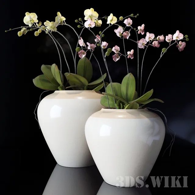 decoration - Orchid in vases - Pottery Barn 3D Model