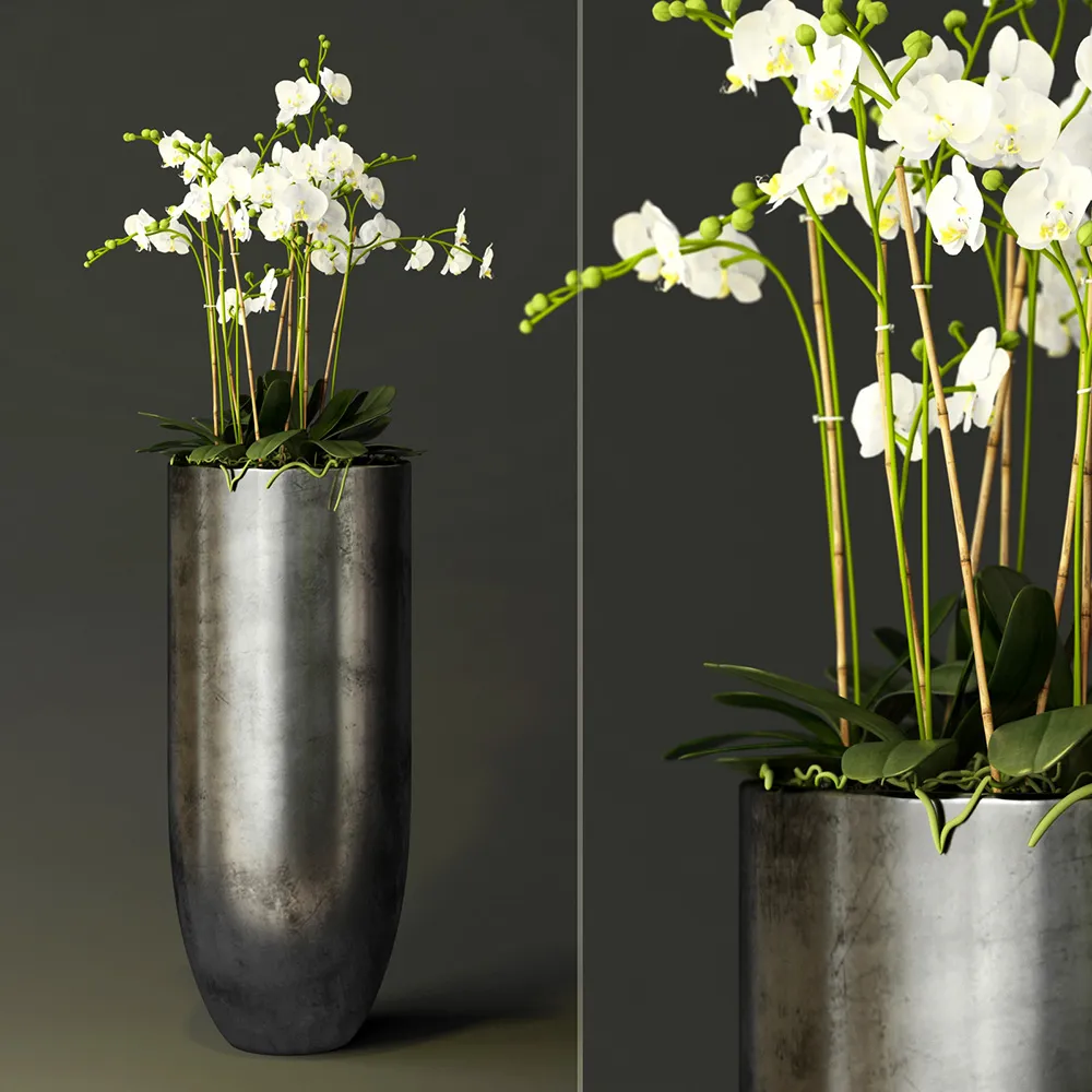 decoration - Orchids in a long metal pot 3D Model