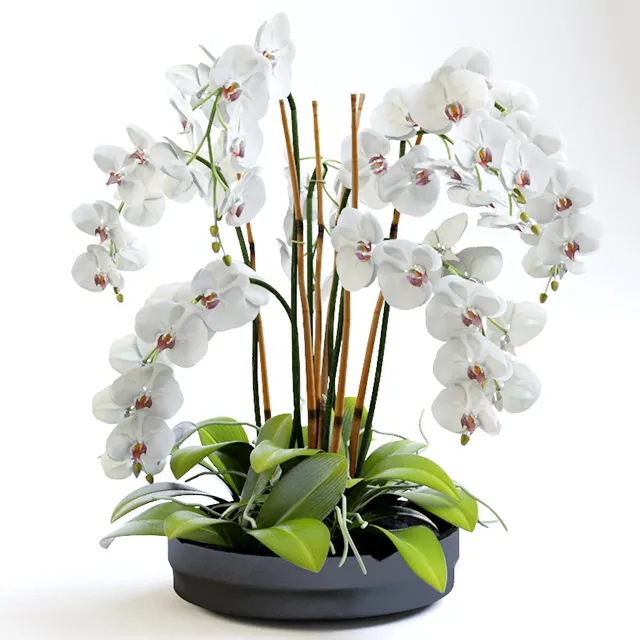 decoration - Orchids with willow branches 03 3D Model