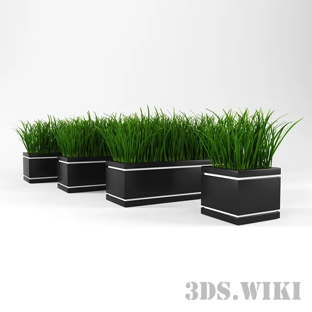 decoration - Ornamental grass 3D Model