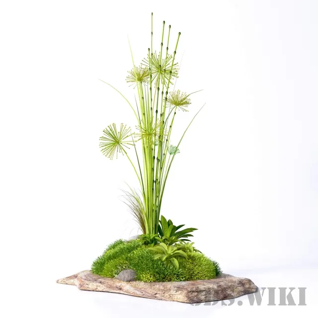 decoration - Ornamental plants on stone 3D Model