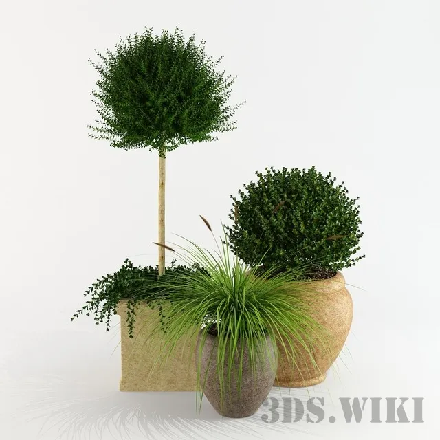decoration - Outdoor potted plants 3D Model