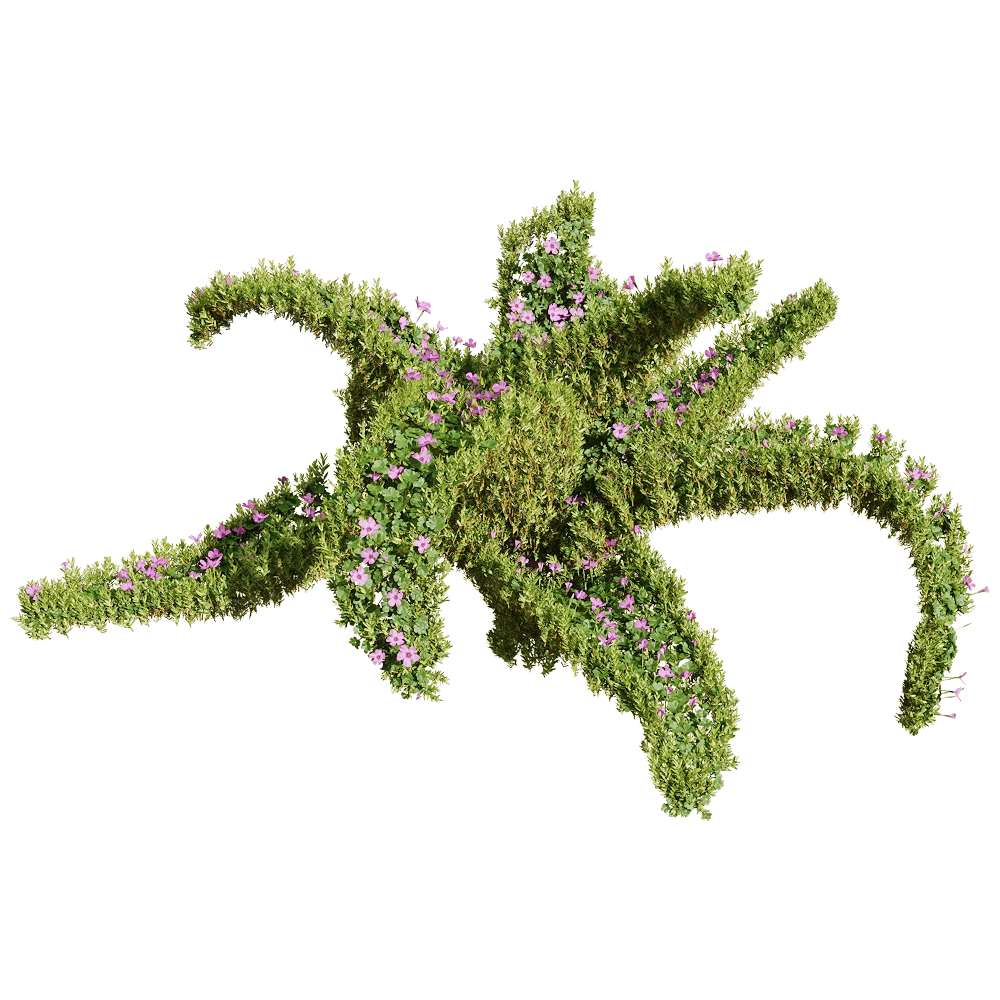 decoration - Oxalis corymbosa 1 3D Model