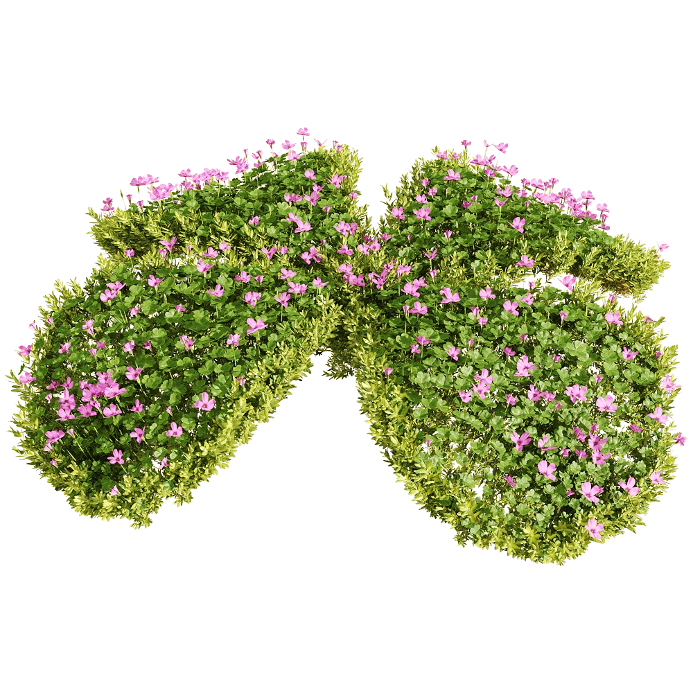 decoration - Oxalis corymbosa 2 3D Model