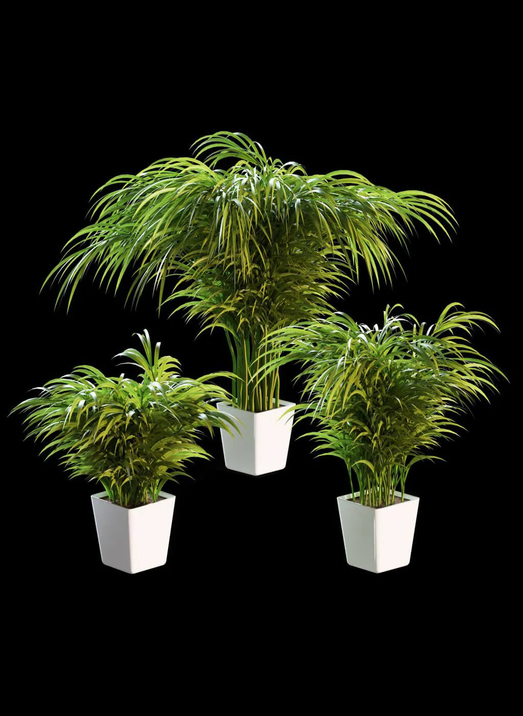 decoration - Palm tree 3D Model