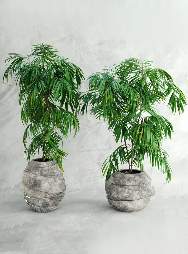 decoration - Palma 3 3D Model