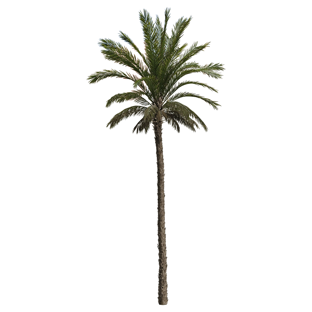 decoration - Pandanus tectorius 2 3D Model