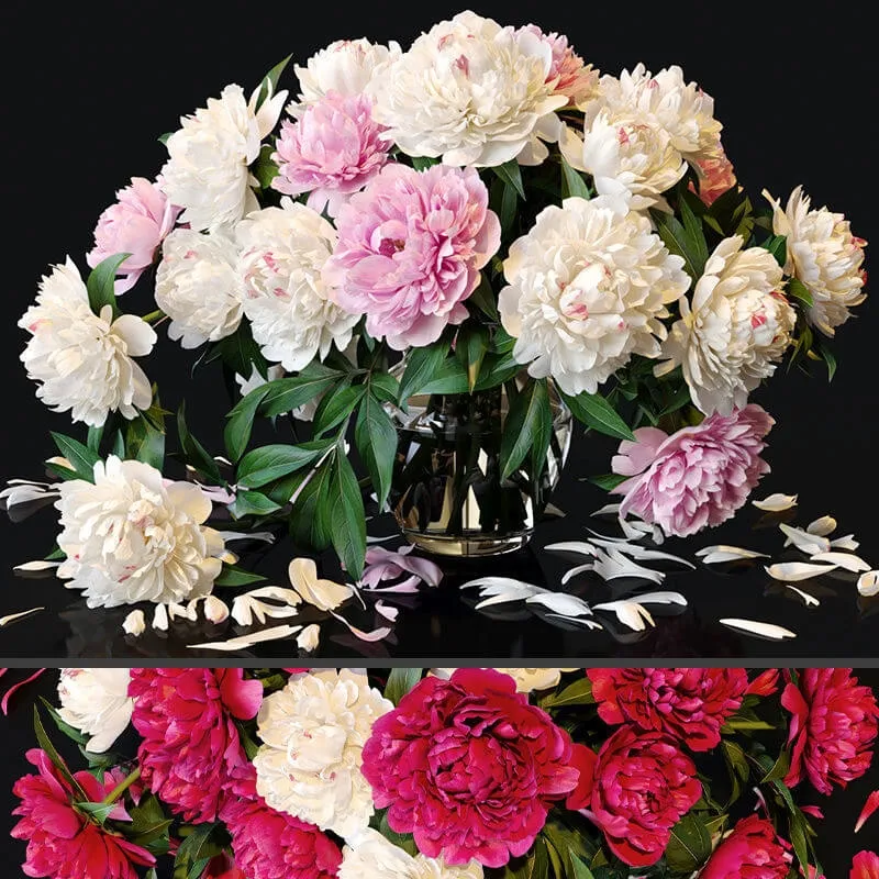 decoration - Peonies 36 3D Model