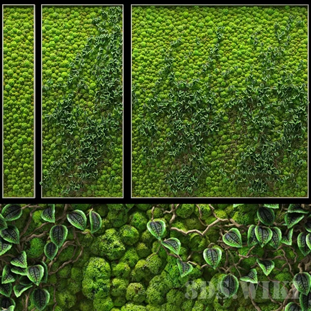 decoration - Phyto-wall from several panels 3D Model