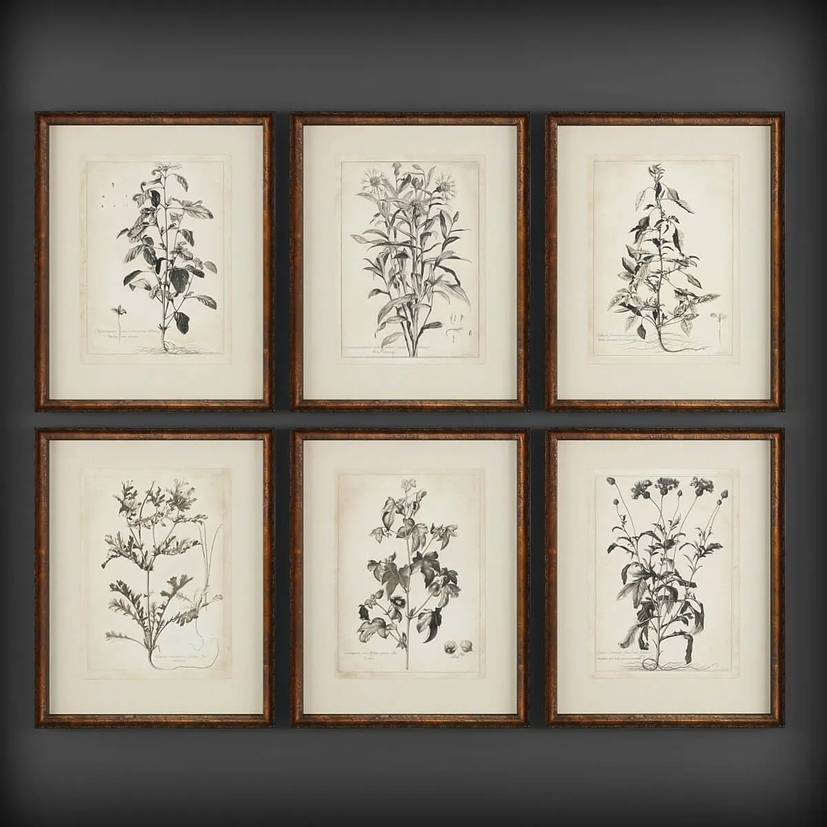 decoration - Pictures 133 3D Model