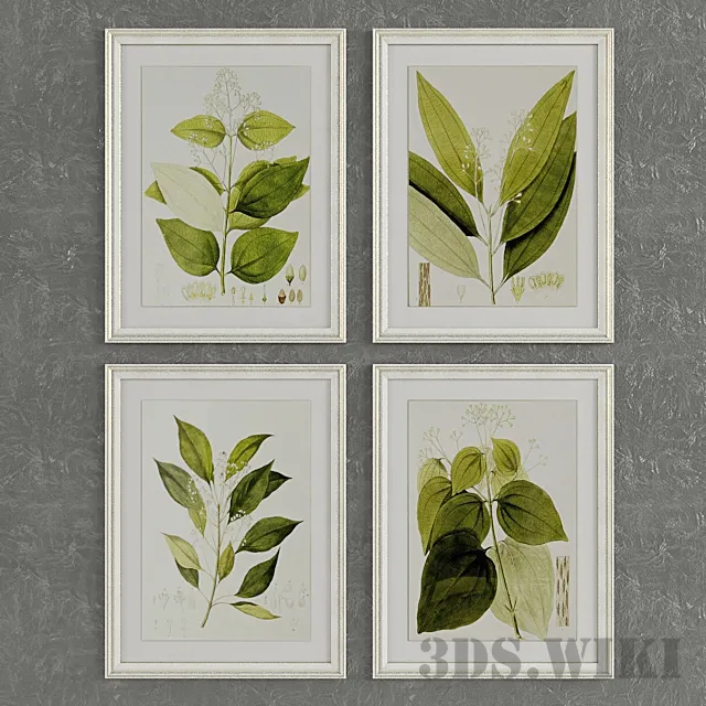 decoration - Pictures of leaves in beautiful frames 3D Model