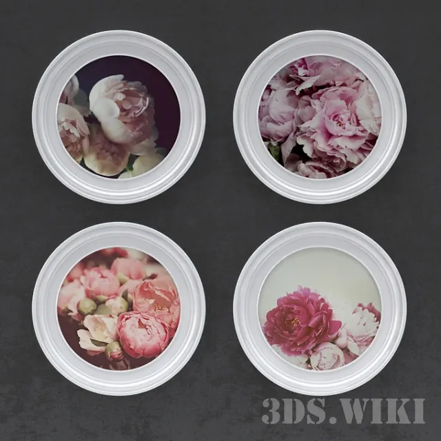 decoration - Pictures of peonies in round frames 3D Model
