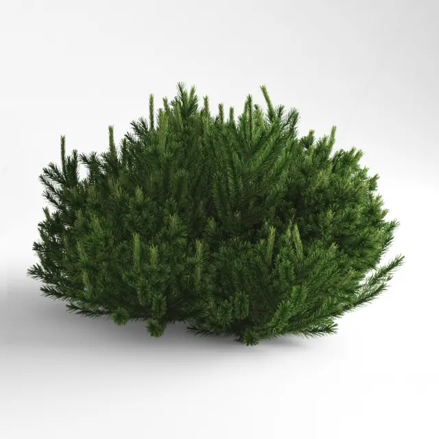 decoration - Pine Mountain Mugus 3D Model