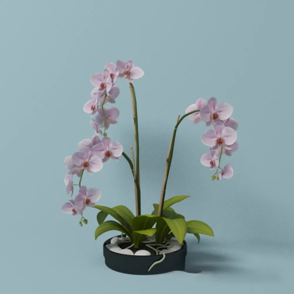 decoration - Pink orchid 3D Model